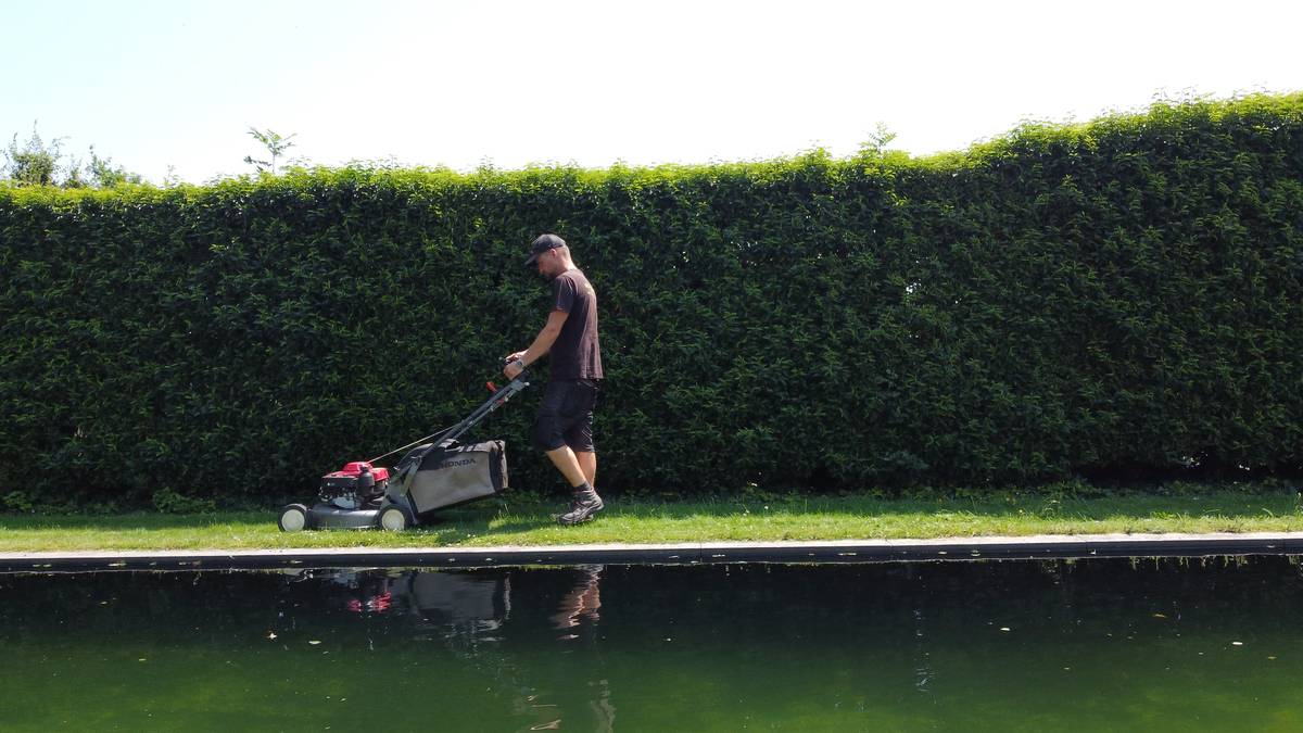 Gazon maaien in de zomer